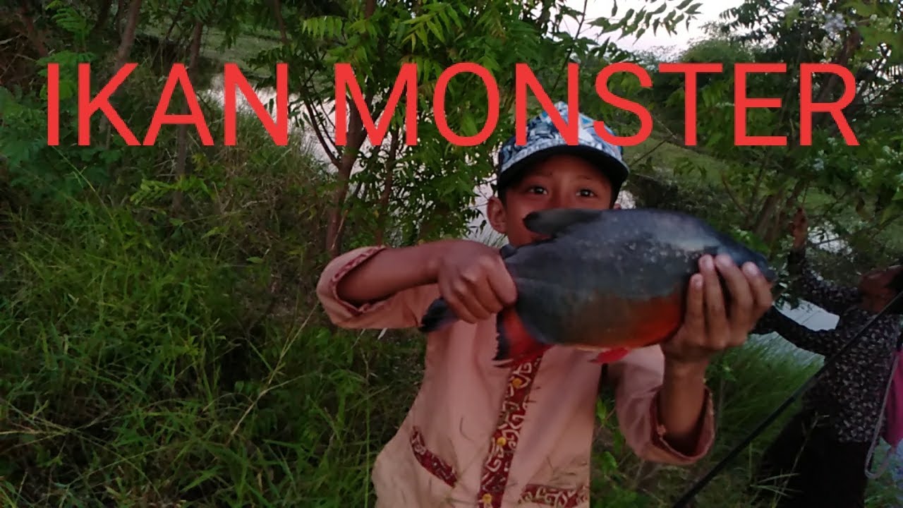 mancing ikan monster